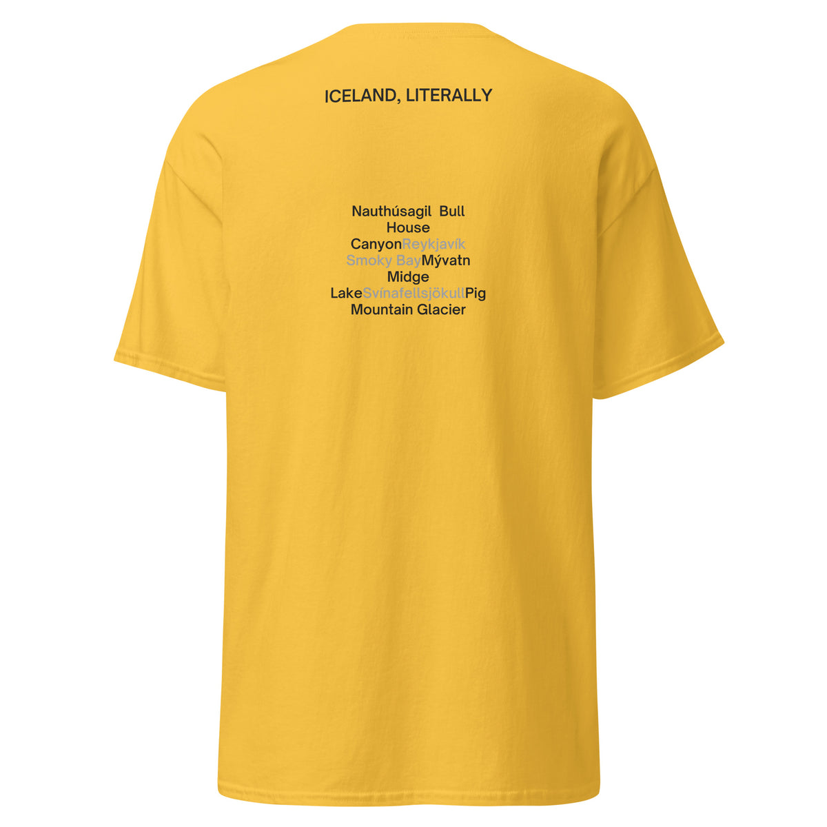 Back view of the Daisy Iceland, Literally T-shirt, showing the black place-name translations.