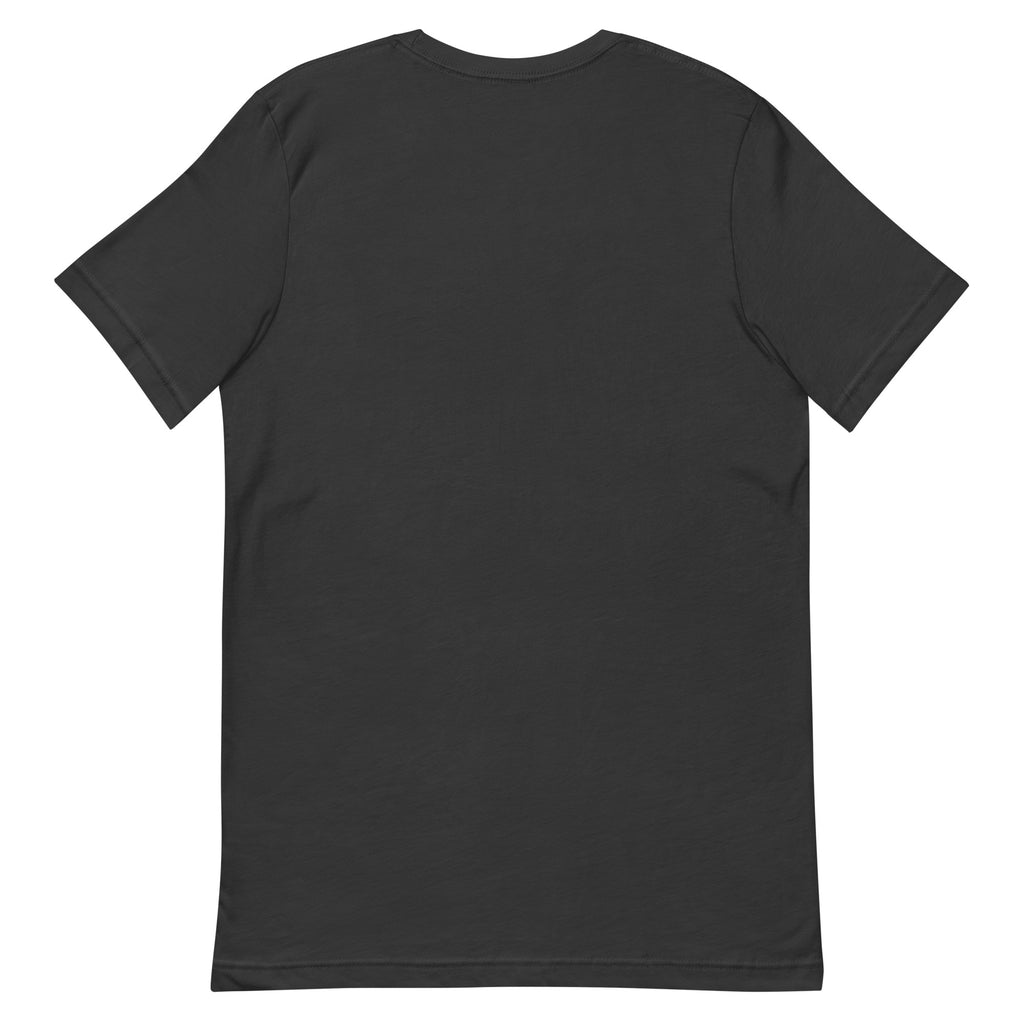Back view of the Dark Grey Chasing Waterfalls Since 874 AD T-shirt, showing the plain, unprinted back.